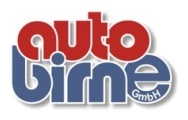 auto birne